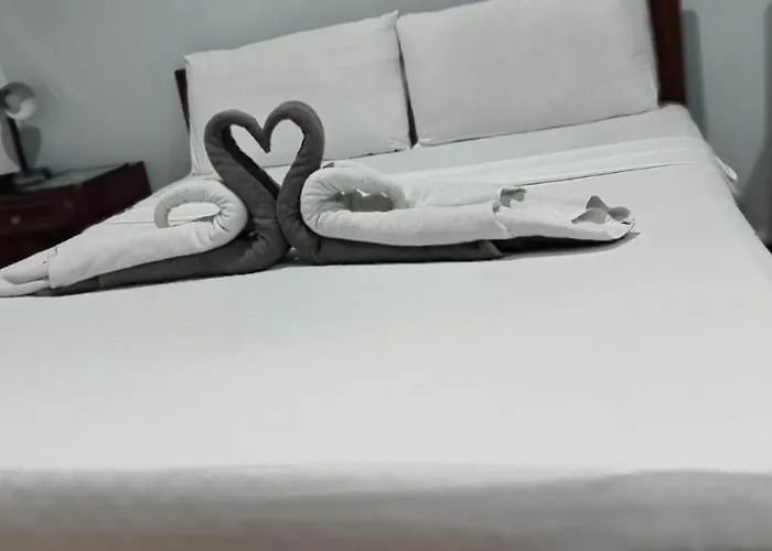 Hotel Duck And Restaurant 3*