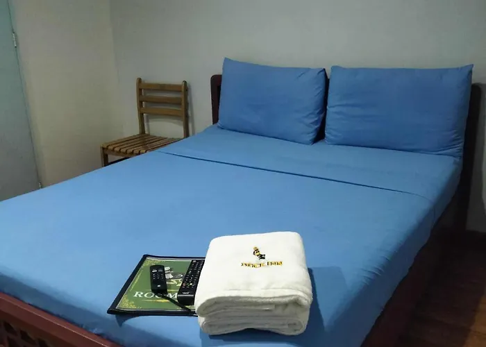 Hotel Duck And Restaurant 3*